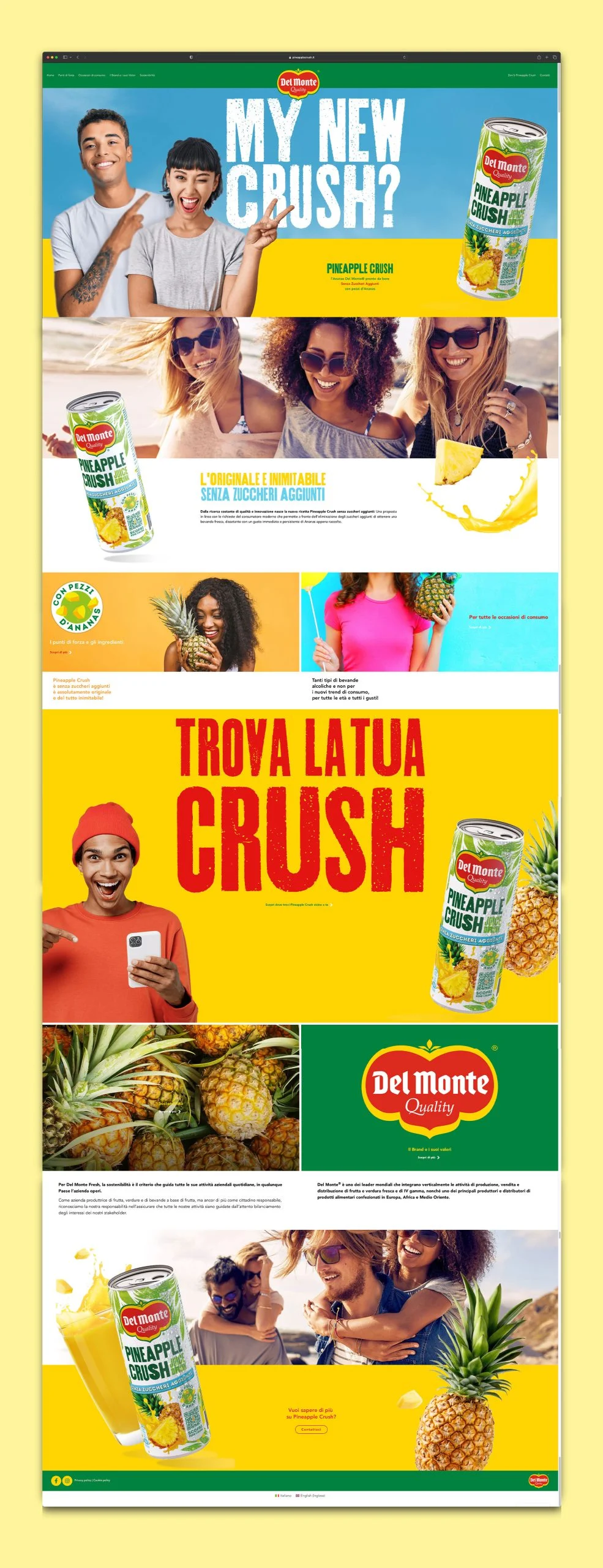 Delmonte Pineapplecrush Adv Website2 Scaled