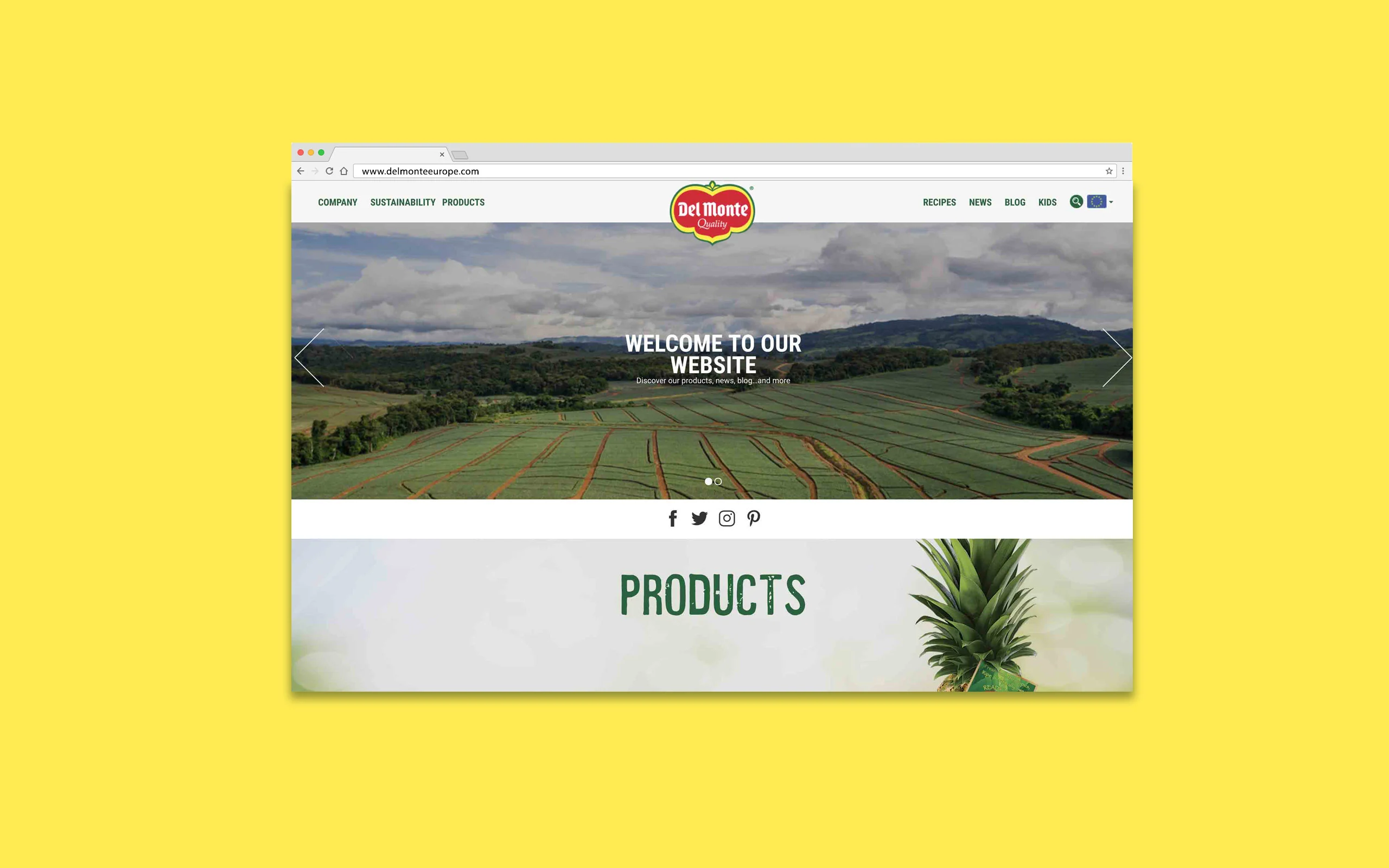 Delmonteeurope Digital Website