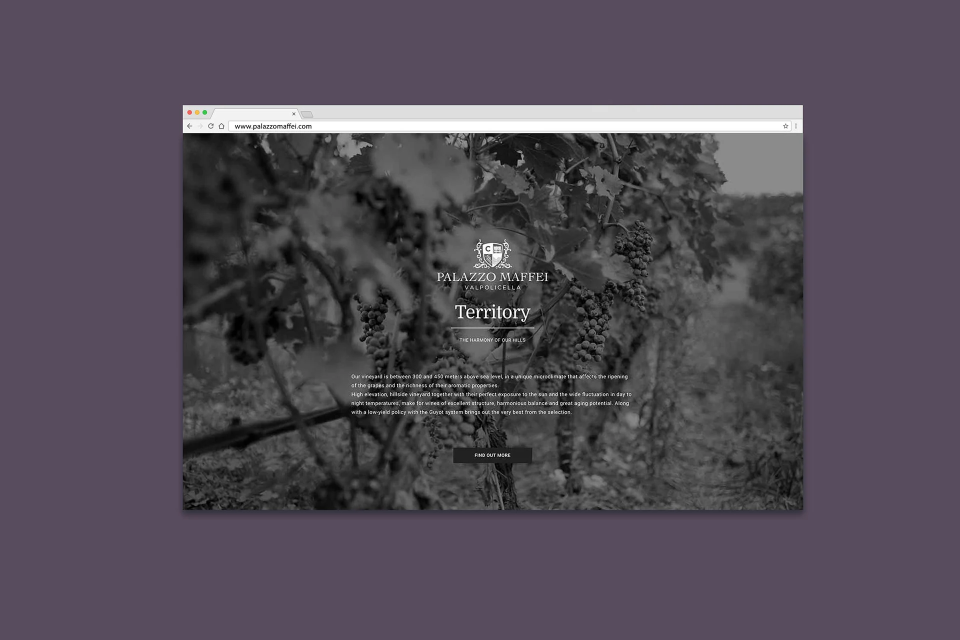 qreactive-palazzomaffei-website2