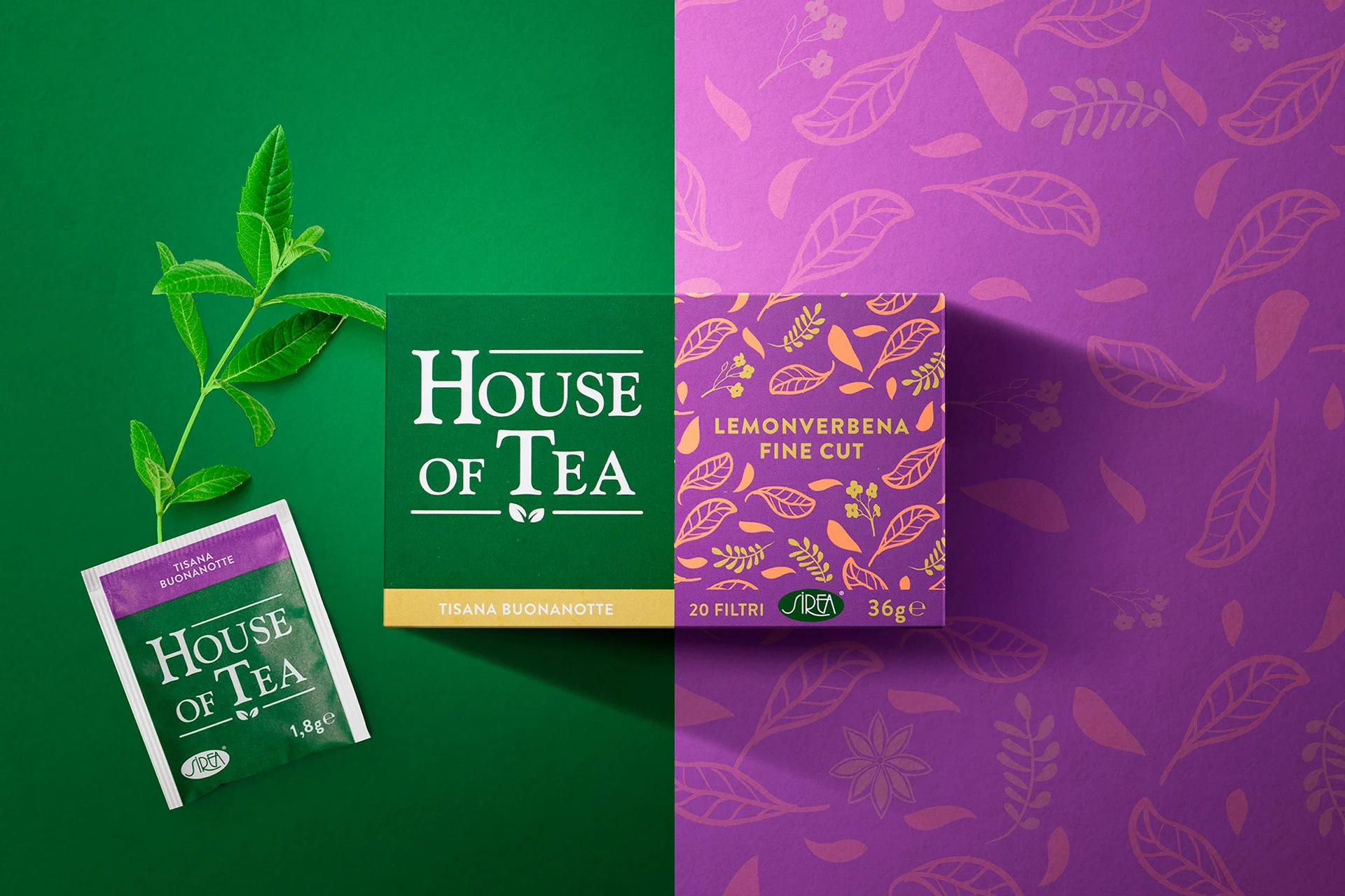 qreactive-sirea-houseoftea-tisana-2